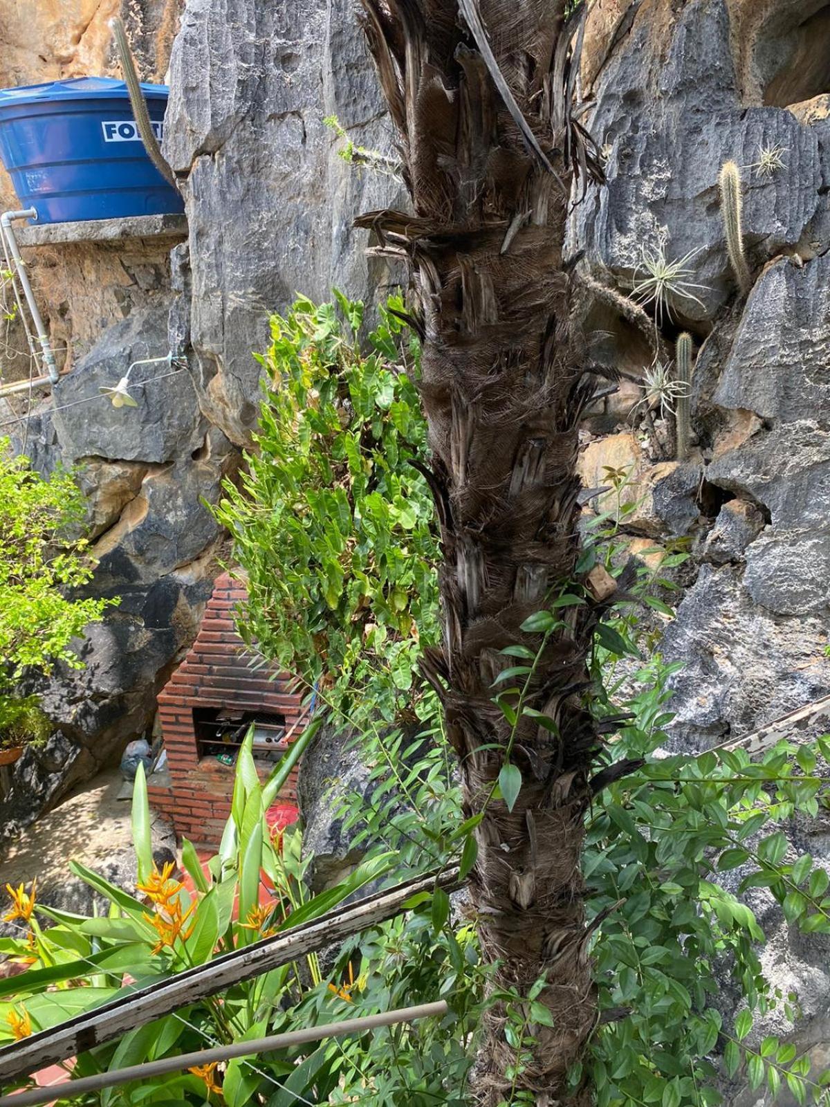 Апартаменты Casa Pedacinho Do Morro Бон-Жезус-да-Лапа Экстерьер фото
